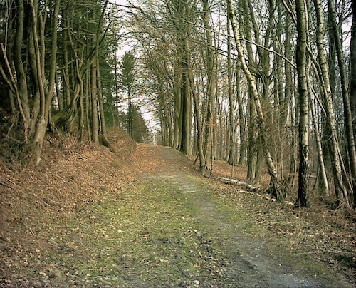 Souvenir d'une promenades avec Edith Chauvin à l'étang de Malva